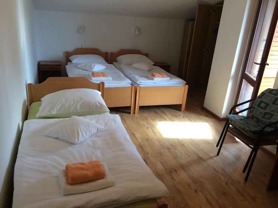 로비니 Vila Albatros B&B 외부 사진