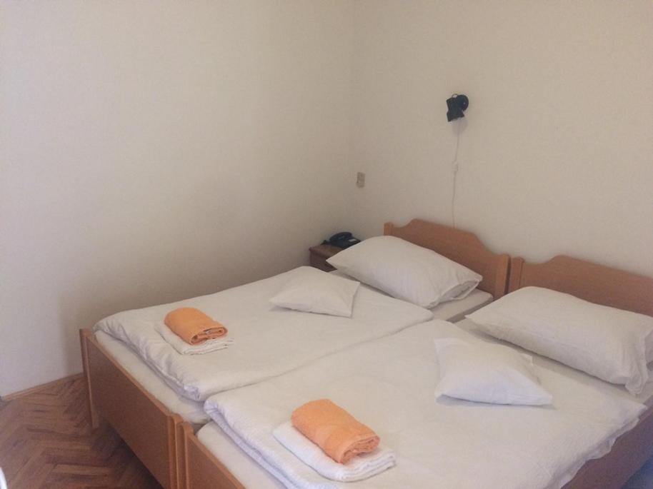 로비니 Vila Albatros B&B 외부 사진